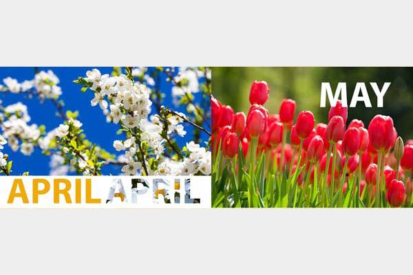 Laminart Dergisi: Aylar Nisan-Mayıs Ocak 2025 April-May 2025